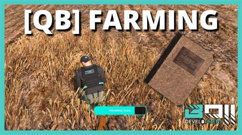 boii farming
